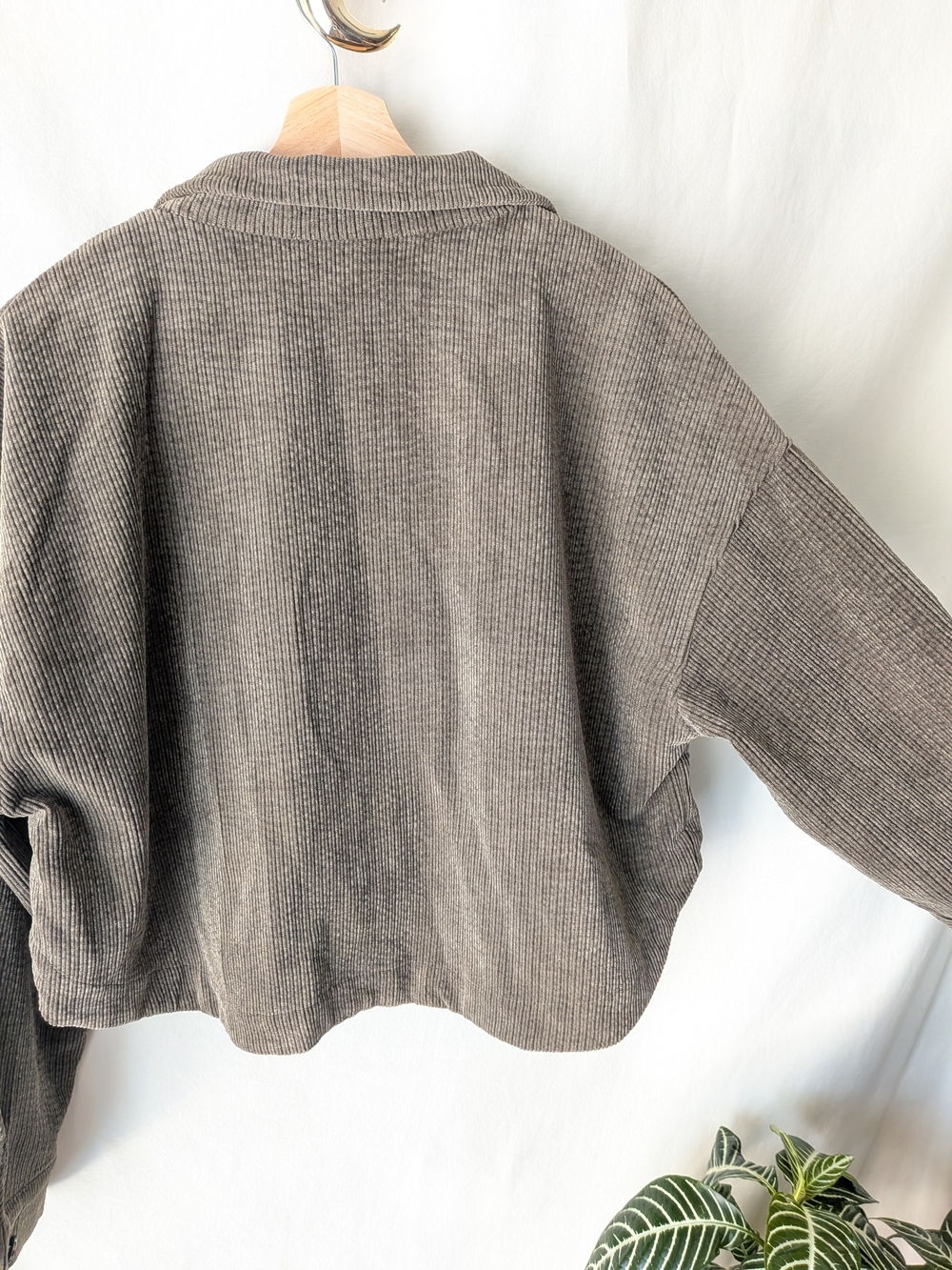 Soft ribbed Cropped Jacket in Taupe - Picture 2 of 8
